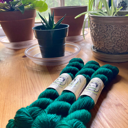 Teal yarn mini skeins on a wooden table with potted plants in the background